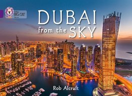 BIG CAT - DUBAI FROM SKY