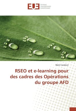 RSEO et e-learning pour des cadres des Opérations du groupe AFD