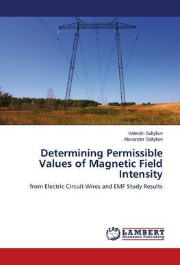 Determining Permissible Values of Magnetic Field Intensity
