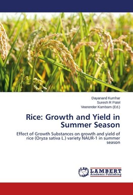 Rice: Growth and Yield in Summer Season