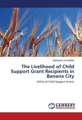 The Livelihood of Child Support Grant Recipients in Banana City