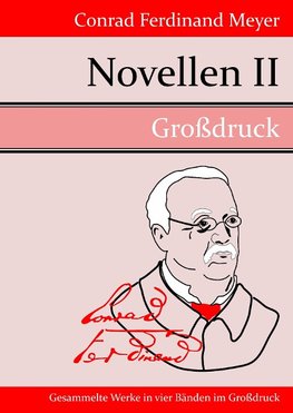 Novellen II (Großdruck)