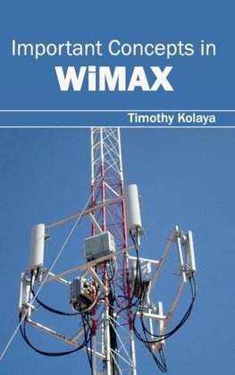 Important Concepts in WiMAX