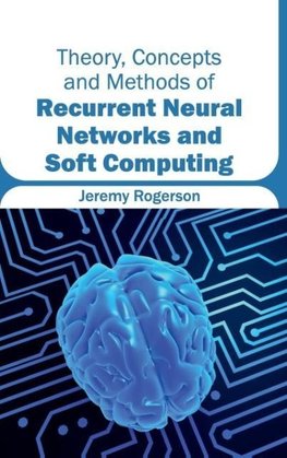 Theory, Concepts and Methods of Recurrent Neural Networks and Soft Computing