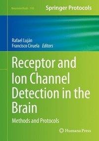 Luján, R: Receptor and Ion Channel Detection in the Brain