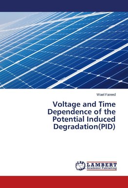 Voltage and Time Dependence of the Potential Induced Degradation(PID)
