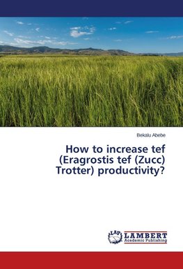 How to increase tef (Eragrostis tef (Zucc) Trotter) productivity?