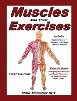 Muscles And Their Exercises