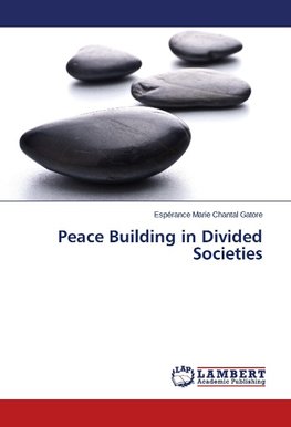 Peace Building in Divided Societies