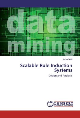 Scalable Rule Induction Systems