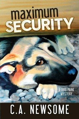 Maximum Security