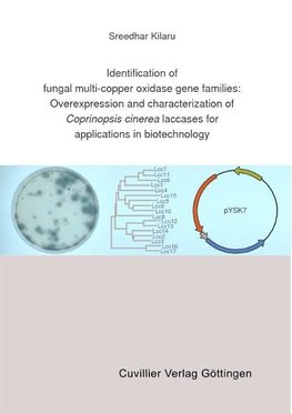 Identification of fungal multi-copper oxidase gene families: Overexpression and characterization of Coprinopsis cinerea laccases for applications in biotechnology