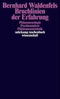 Bruchlinien der Erfahrung