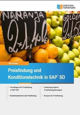 Preisfindung und Konditionstechnik in SAP SD