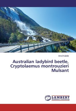 Australian ladybird beetle, Cryptolaemus montrouzieri Mulsant