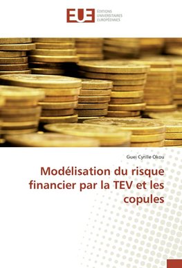 Modélisation du risque financier par la TEV et les copules