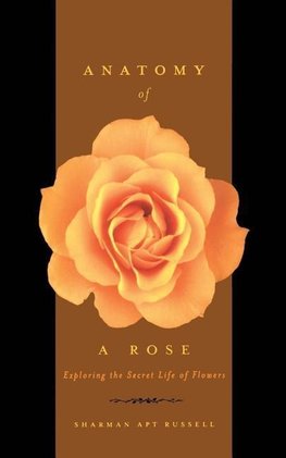 Anatomy of a Rose