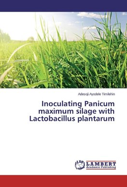Inoculating Panicum maximum silage with Lactobacillus plantarum