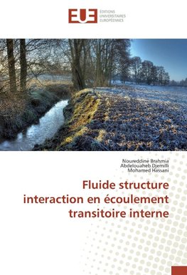 Fluide structure interaction en écoulement transitoire interne