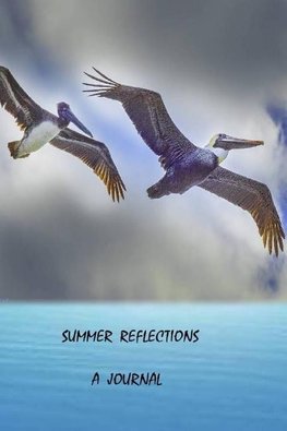Summer Reflections