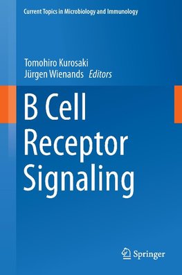 B Cell Receptor Signaling