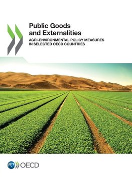 Public Goods and Externalities