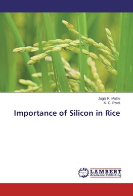 Importance of Silicon in Rice