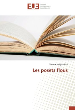 Les posets flous
