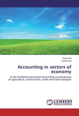 Accounting in sectors of economy