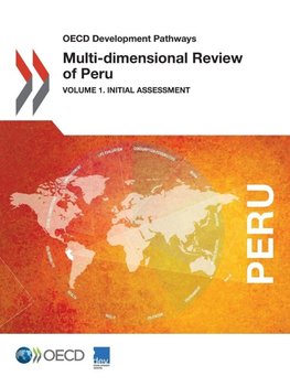 Multi-dimensional Review of Peru