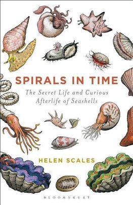 Spirals in Time