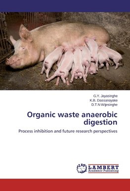 Organic waste anaerobic digestion