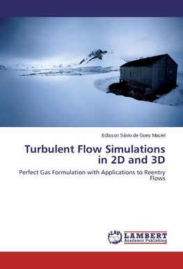 Turbulent Flow Simulations in 2D and 3D