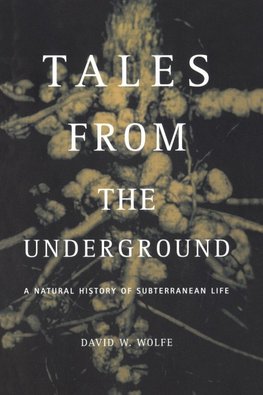 Tales from the Underground