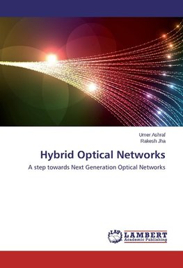 Hybrid Optical Networks