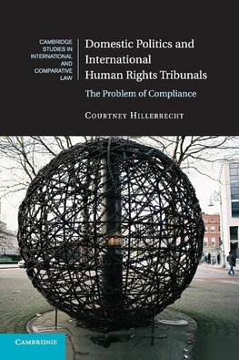 Domestic Politics and International Human Rights Tribunals