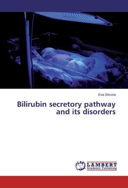 Bilirubin secretory pathway and its disorders
