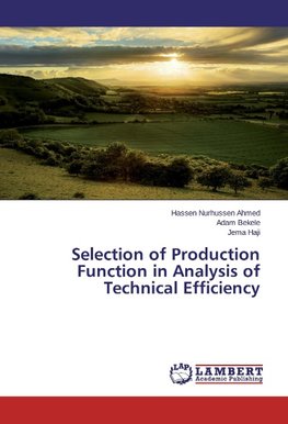 Selection of Production Function in Analysis of Technical Efficiency