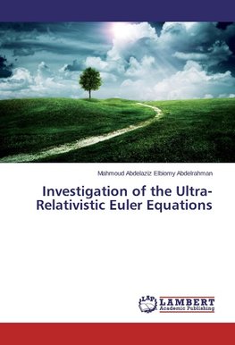 Investigation of the Ultra-Relativistic Euler Equations