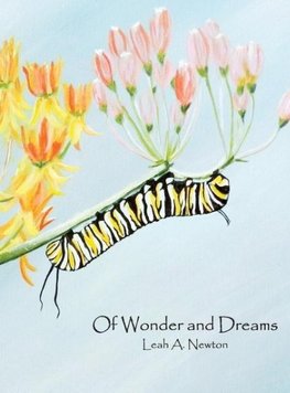 Of Wonder and Dreams