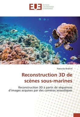 Reconstruction 3D de scènes sous-marines