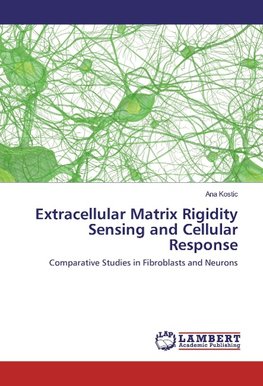 Extracellular Matrix Rigidity Sensing and Cellular Response