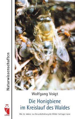 Die Honigbiene im Kreislauf des Waldes