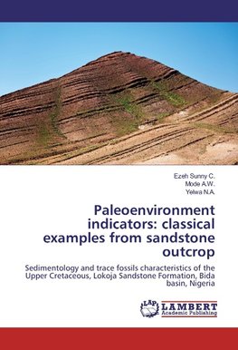 Paleoenvironment indicators: classical examples from sandstone outcrop