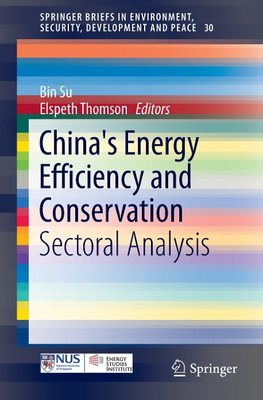 China's Energy Efficiency and Conservation