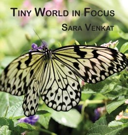 Tiny World in Focus
