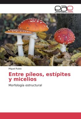 Entre píleos, estípites y micelios