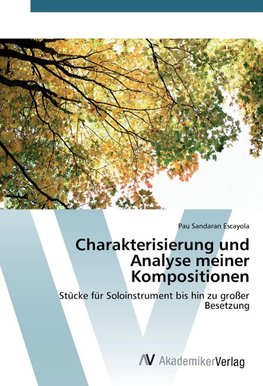 Charakterisierung und Analyse meiner Kompositionen