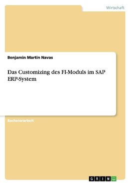 Das Customizing des FI-Moduls im SAP ERP-System
