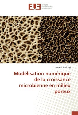 Modélisation numérique de la croissance microbienne en milieu poreux
